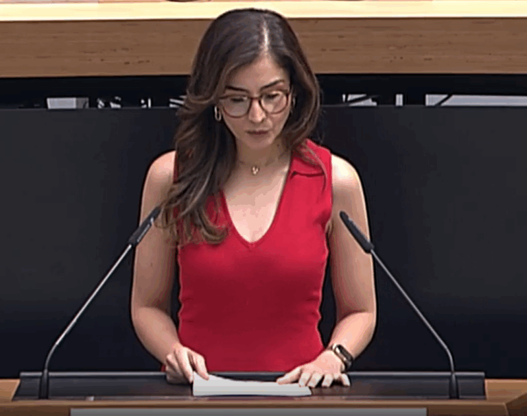 Gesetz zur Aufhebung des Gesetzes zu Artikel 29 der Verfassung von Berlin